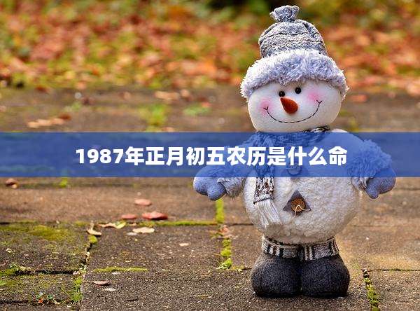 1987年正月初五农历是什么命