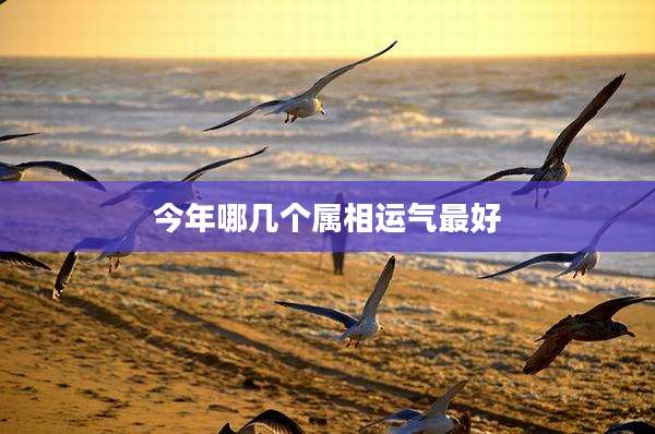 今年哪几个属相运气最好