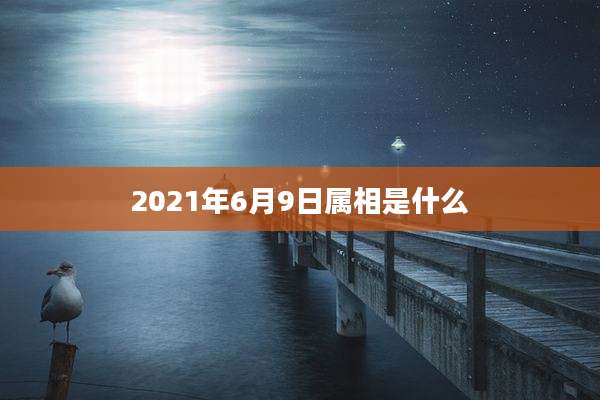 2021年6月9日属相是什么
