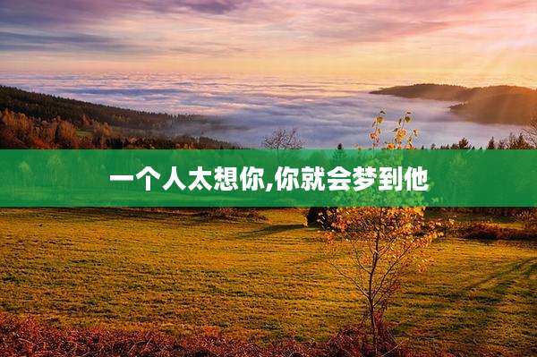 一个人太想你,你就会梦到他