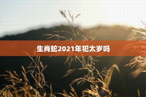 生肖蛇2021年犯太岁吗