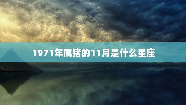1971年属猪的11月是什么星座