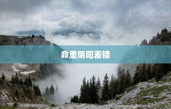 命里阴阳差错
