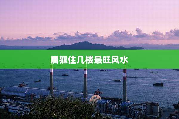 属猴住几楼最旺风水