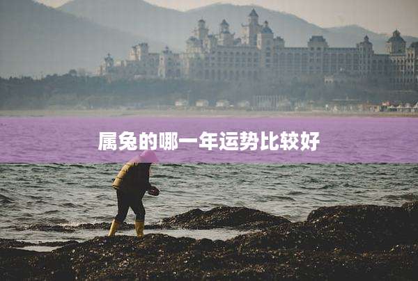 属兔的哪一年运势比较好