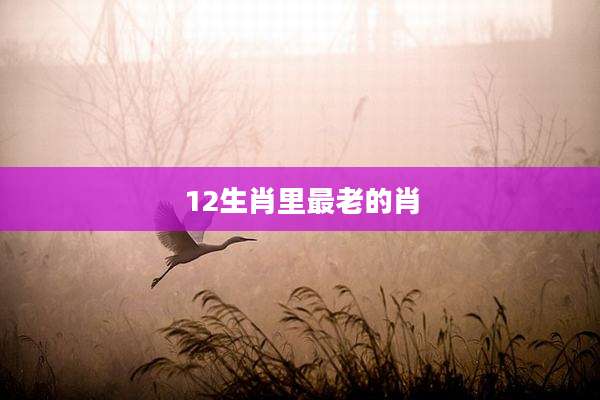 12生肖里最老的肖