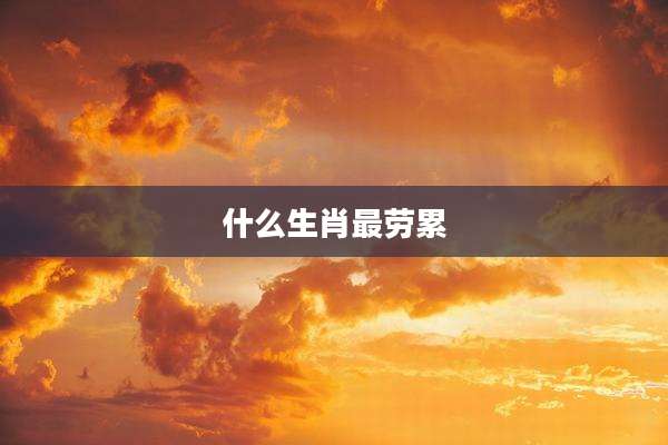 什么生肖最劳累