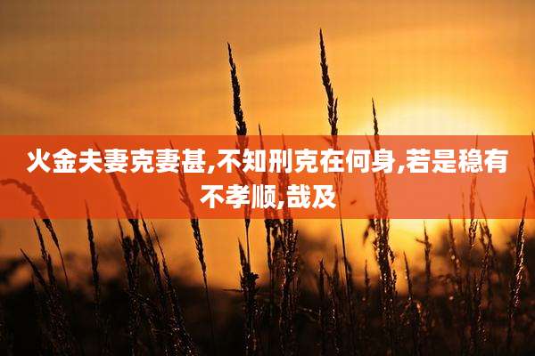火金夫妻克妻甚,不知刑克在何身,若是稳有不孝顺,哉及