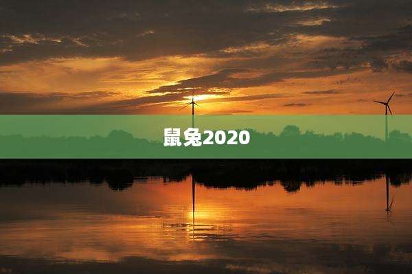 鼠兔2020