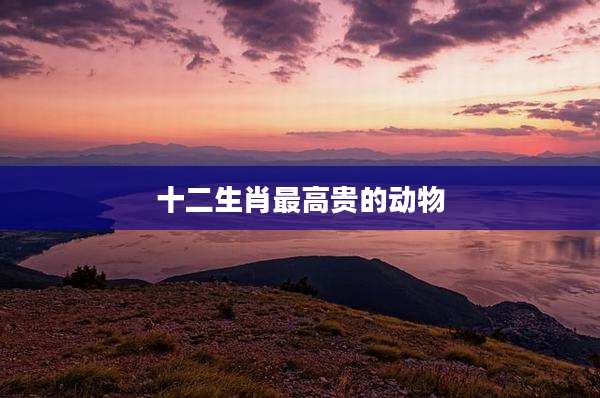 十二生肖最高贵的动物