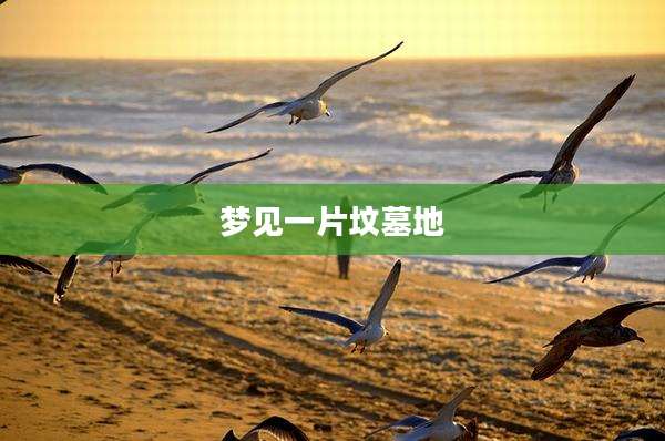 梦见一片坟墓地