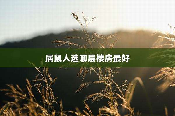 属鼠人选哪层楼房最好
