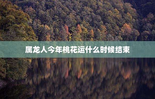 属龙人今年桃花运什么时候结束