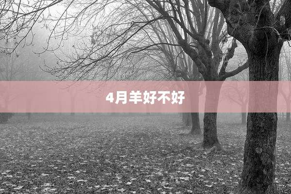 4月羊好不好