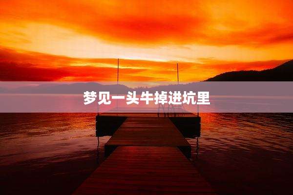 梦见一头牛掉进坑里