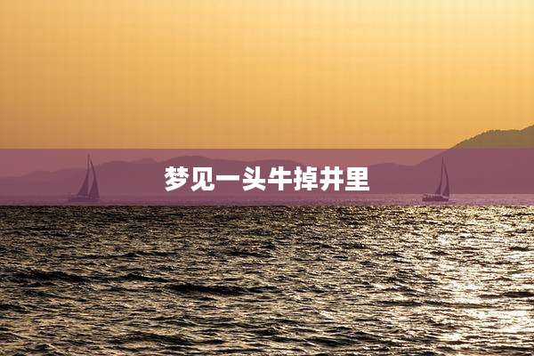 梦见一头牛掉井里