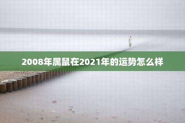 2008年属鼠在2021年的运势怎么样