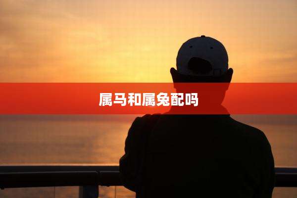 属马和属兔配吗