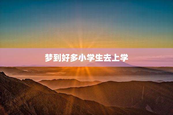 梦到好多小学生去上学