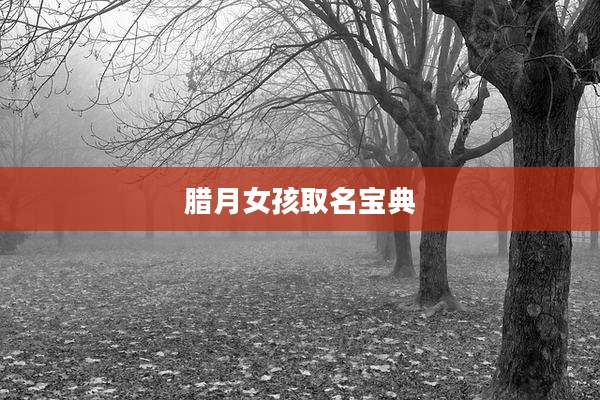 腊月女孩取名宝典