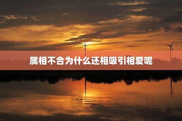 属相不合为什么还相吸引相爱呢