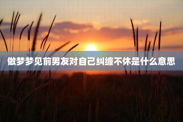 做梦梦见前男友对自己纠缠不休是什么意思