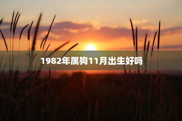 1982年属狗11月出生好吗