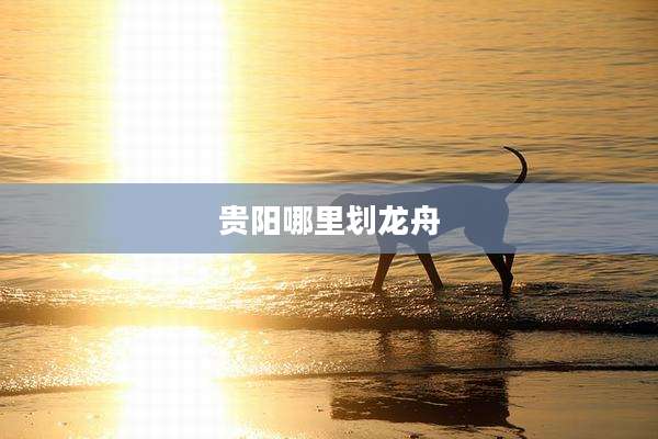 贵阳哪里划龙舟