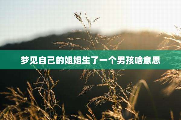 梦见自己的姐姐生了一个男孩啥意思
