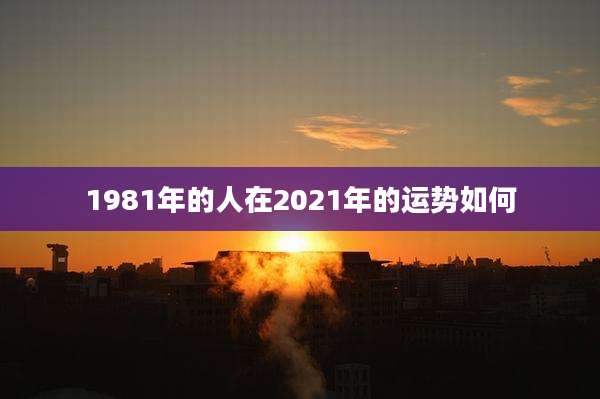 1981年的人在2021年的运势如何