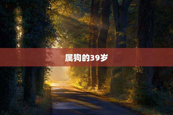 属狗的39岁