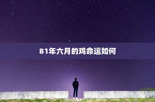 81年六月的鸡命运如何