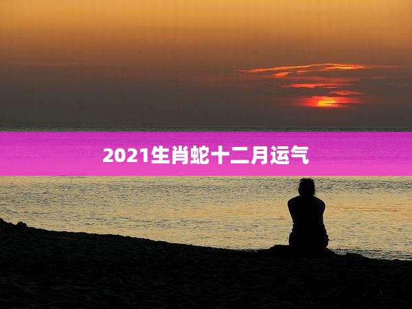 2021生肖蛇十二月运气