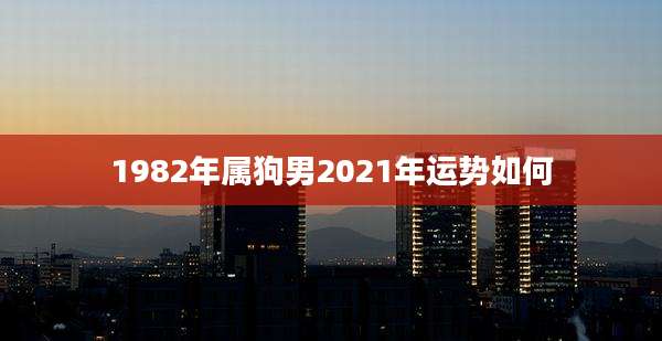 1982年属狗男2021年运势如何