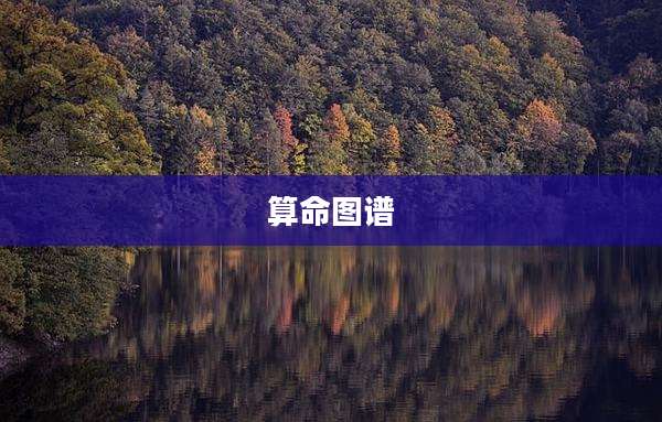 算命图谱