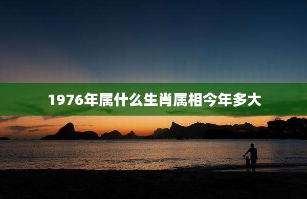 1976年属什么生肖属相今年多大