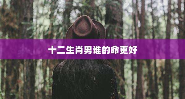 十二生肖男谁的命更好