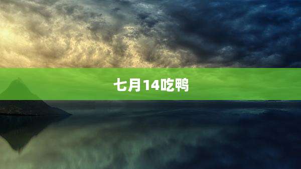 七月14吃鸭