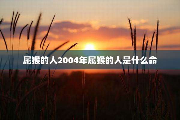 属猴的人2004年属猴的人是什么命
