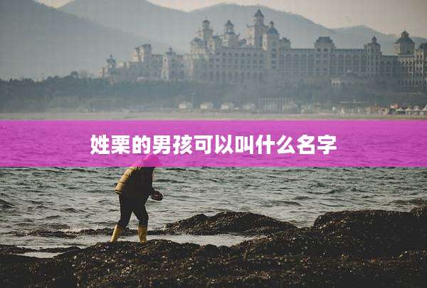 姓栗的男孩可以叫什么名字