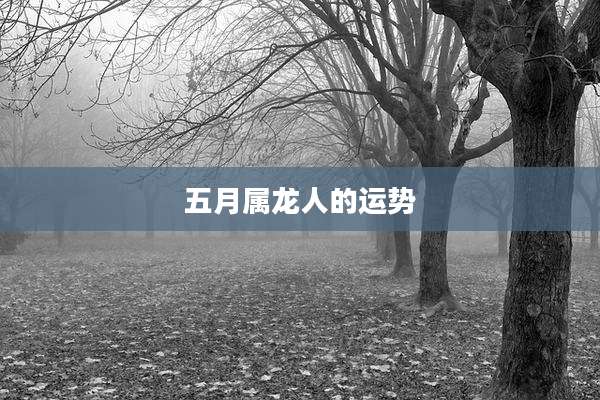 五月属龙人的运势