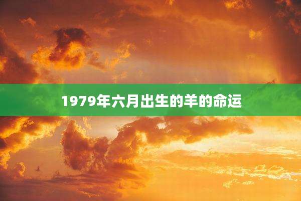 1979年六月出生的羊的命运