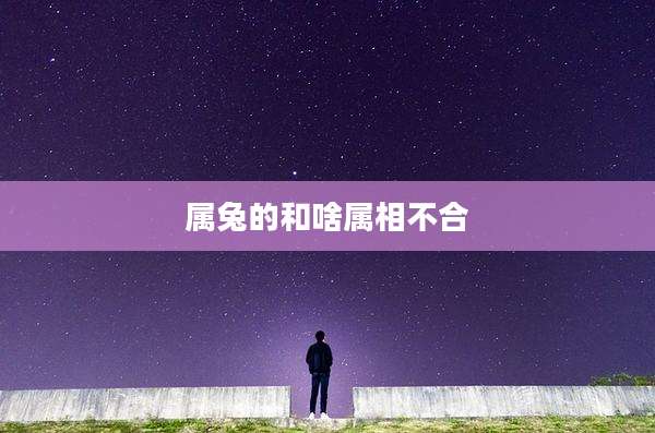属兔的和啥属相不合