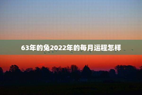 63年的兔2022年的每月运程怎样