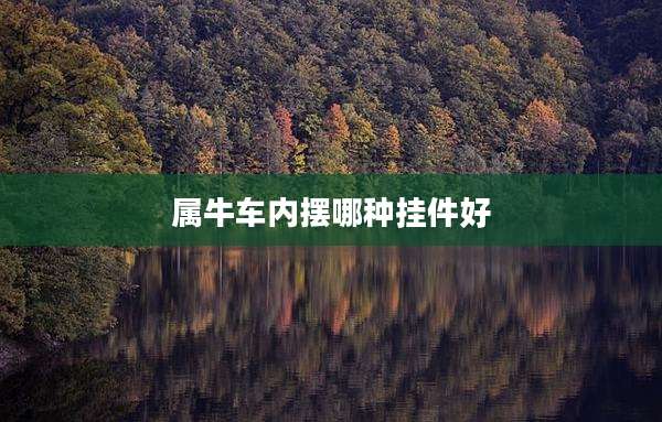 属牛车内摆哪种挂件好