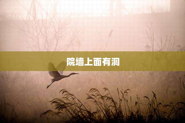 院墙上面有洞