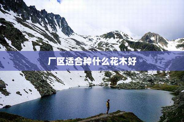 厂区适合种什么花木好