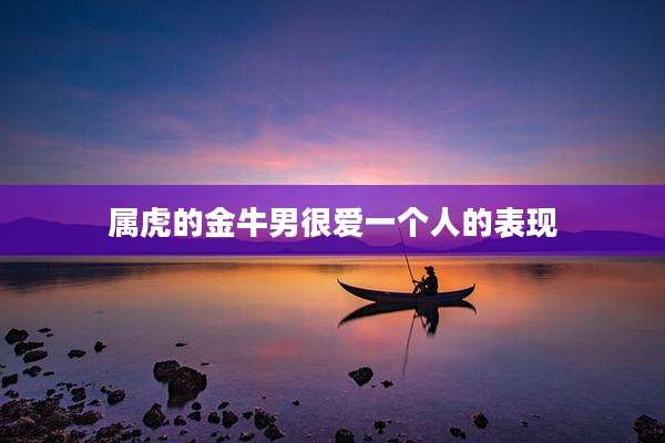 属虎的金牛男很爱一个人的表现