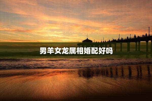 男羊女龙属相婚配好吗