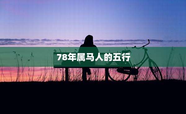 78年属马人的五行